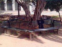 un invito per la colonia gang