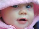 bebek