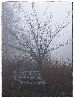 Foggy Day
