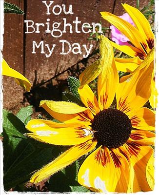 You Brighten My Day