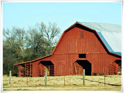 Country Living