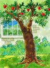 apple tree