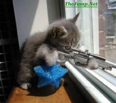 Assasaination