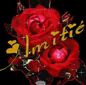 rose d'amitié