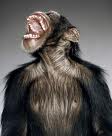 Toothahe Monkey 
