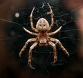 It's coming for you