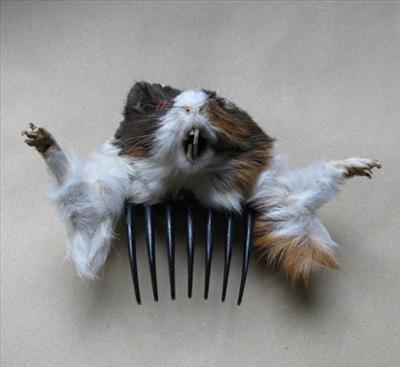 Crazy Bitch Comb
