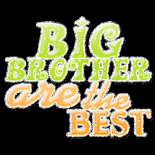 Big Brother Are The Best