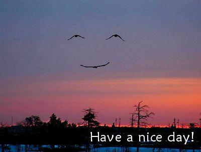 Have A Nice Day