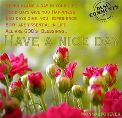 Have A Nice Day