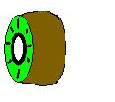 kiwi