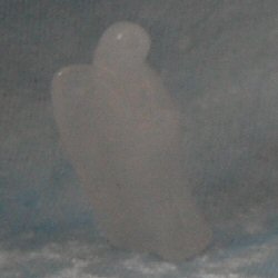 Archangel Gabriel