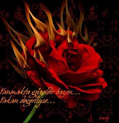 Aşk ile yanmak...!