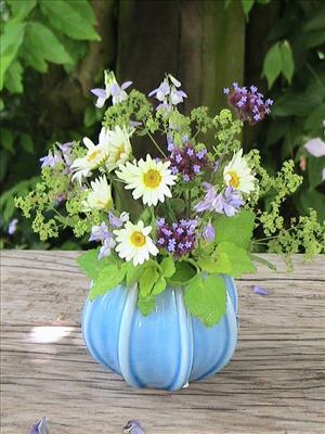 Fleurs d'été