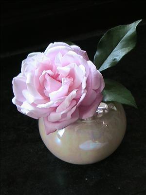 Old Blush China