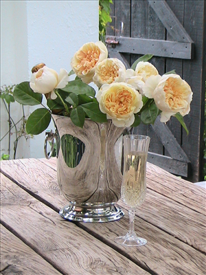 Champagne é Roses