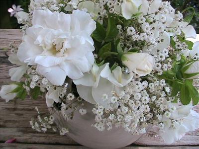 Blanc Double de Coubert
