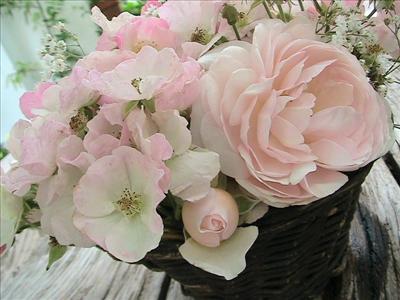 Heritage et Frisson Frais