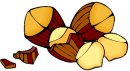 castagne