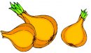 aglio