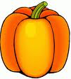 zucca