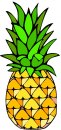 ananas