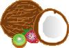 noce di cocco