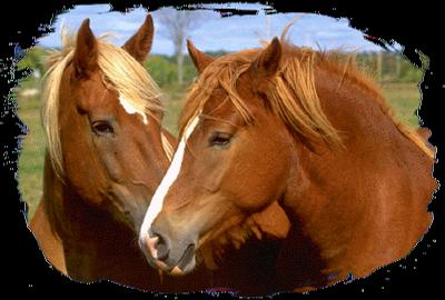 Cheval