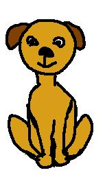 petit chien