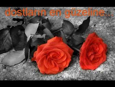 gül