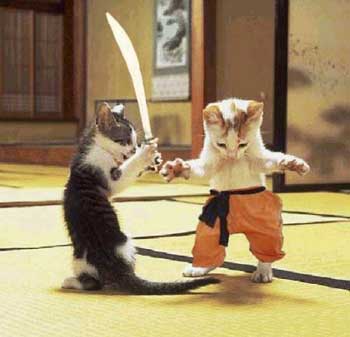 Cat Ninja