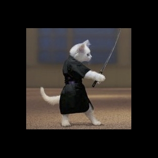 Cat Ninja