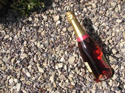 Rose Champagne