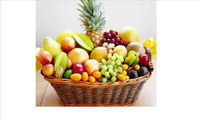 Fruitbasket 5