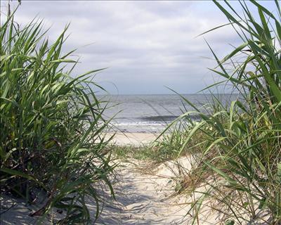A Walk On The Beach