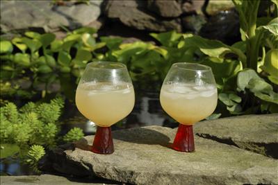 Margarita Friday