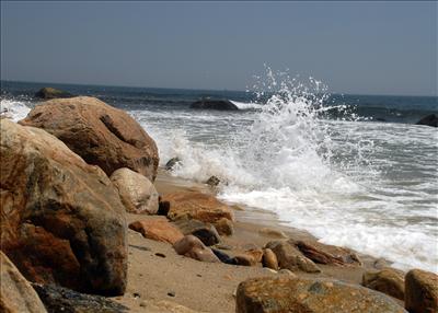 Rocky Shore Line