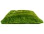 Grassy Pillow