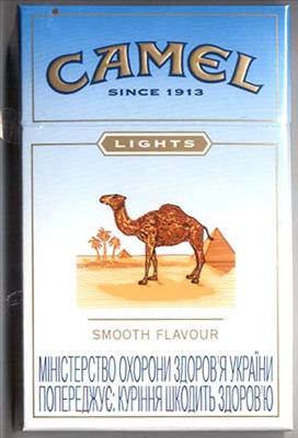 Camel