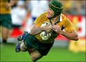 Giteau