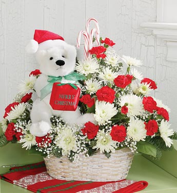 Spesial for you