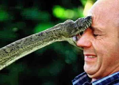 Bite