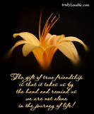 The gift of true friendship reminds us we are not alone in the journey of life