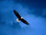 When you were born, you cried