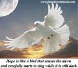Hope is the bird that senses the dawn and carefully starts to sing while its still dark