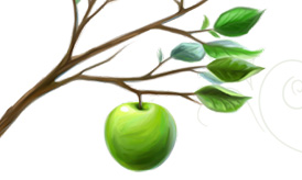Green Apple Tree