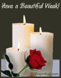 Have a beautiful week