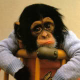 I am sorry to say, but sadly its true that bang ups and hangups can happen to you