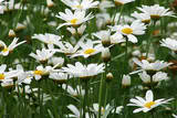 A friend is someone who knows where you’ve been, sees what you’ve become, and still invites you to grow