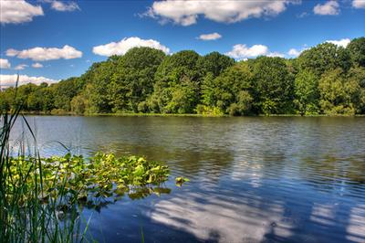 Van Cortland Park